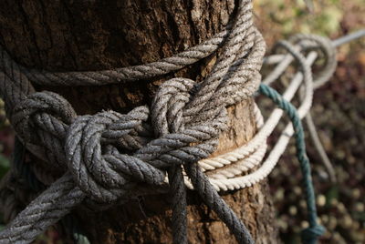 Close-up of rope tied on wooden post