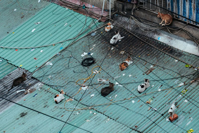 High angle view of ropes on floor in city