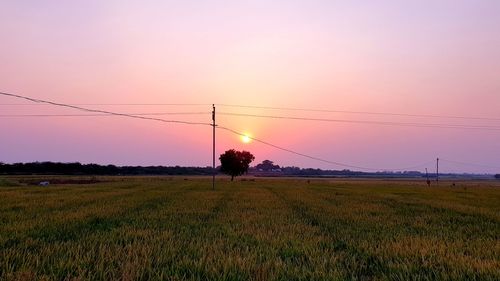 Scenic view of field against sky during sunset