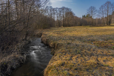 Stream flowing amidst trees in forest against sky