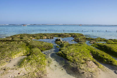 Scenic view of sea against clear sky