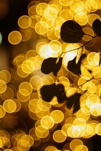 Defocused image of illuminated lights