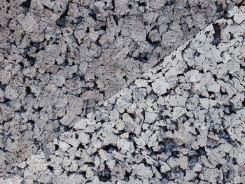 Full frame shot of cracked field