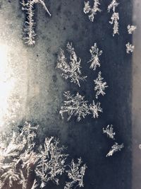 High angle view of snowflakes on frozen lake