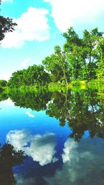 Reflection of trees in water