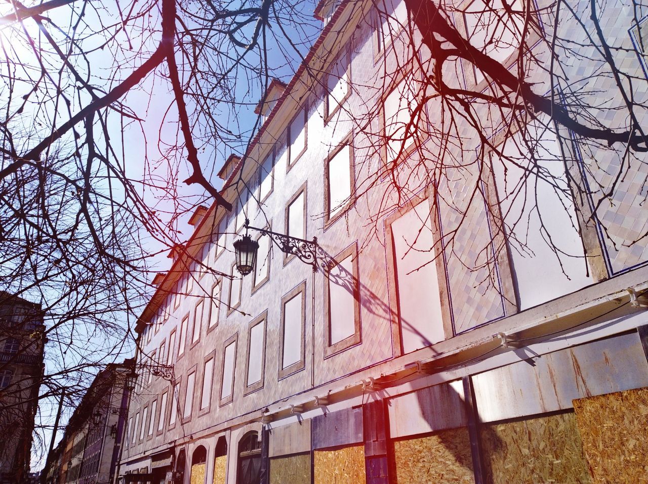 tree, bare tree, architecture, building exterior, built structure, low angle view, branch, nature, plant, sky, no people, day, building, outdoors, city, clear sky, trunk, tree trunk, construction site, window