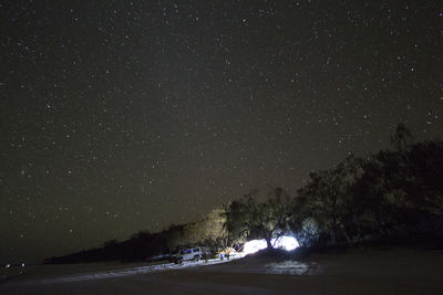 Trees against star field at night