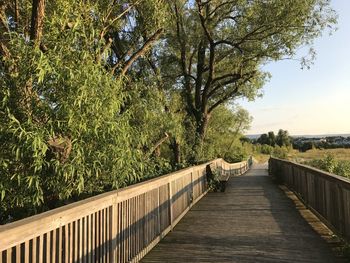 A stroll along the boardwalk 