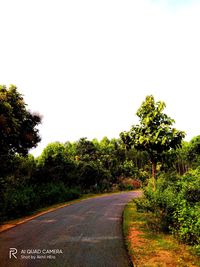 Road amidst trees against clear sky