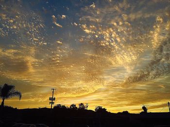 Low angle view of silhouette trees against sky during sunset