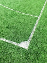 Close-up of white line on grass