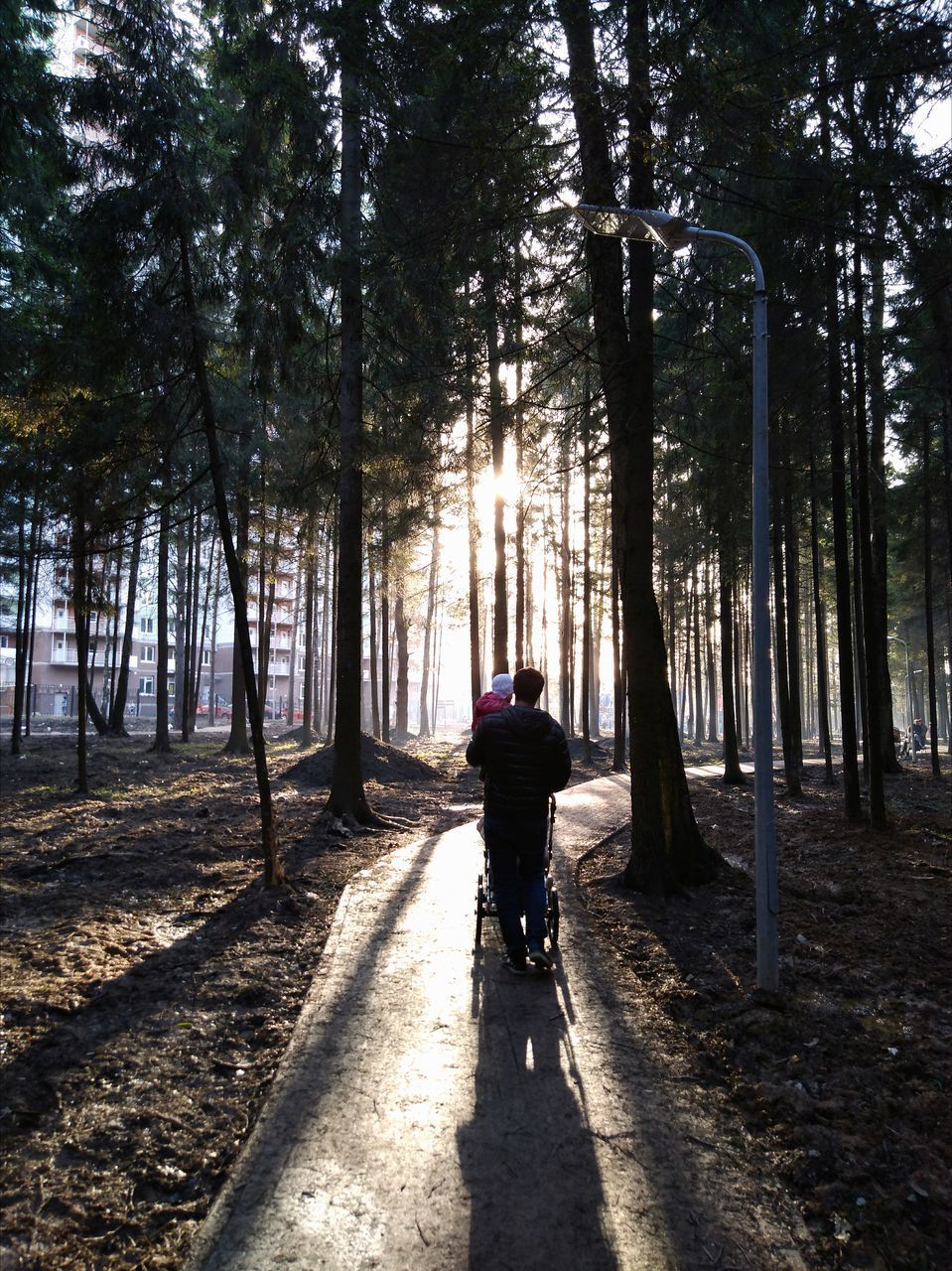 REAR VIEW OF MAN RIDING BICYCLE IN FOREST