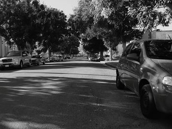 Cars parked on roadside