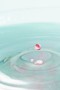 Close-up of drop falling on blue water