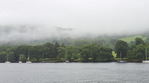 Scenic view of river by trees against sky