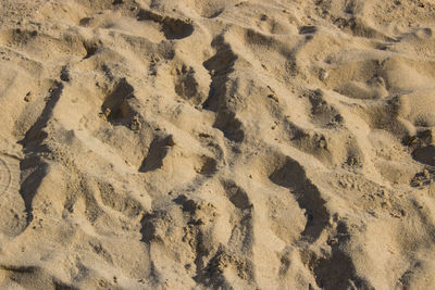 High angle view of footprints on sand