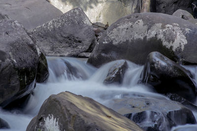 Scenic view of waterfall