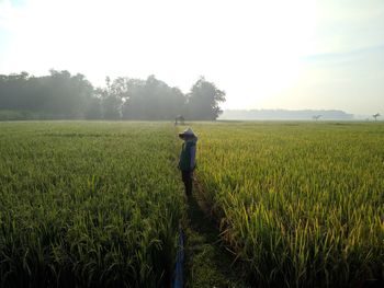 Man standing on agricultural field