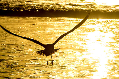 Scenic view of river at sunset