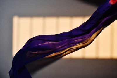 Close-up of purple against blue wall at home