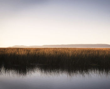 Scenic view of lake against clear sky