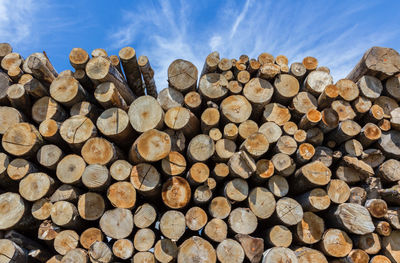 Stack of logs against sky