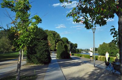 Road by trees against sky on sunny day