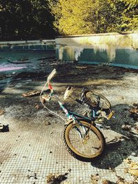 Bicycle parked by tree