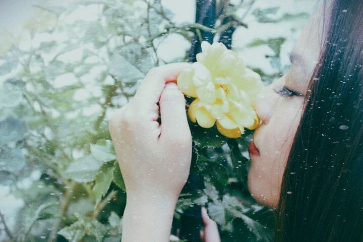 person, holding, lifestyles, flower, part of, freshness, focus on foreground, close-up, human finger, cropped, leisure activity, personal perspective, unrecognizable person, fragility, day, touching