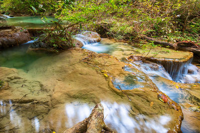 Stream flowing through rocks in forest