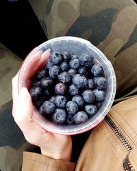 Midsection of woman holding bowl with blueberries