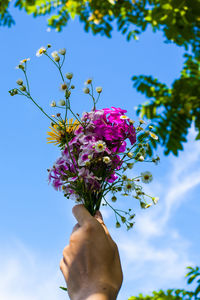 Low angle view of bunch of flowers against sky