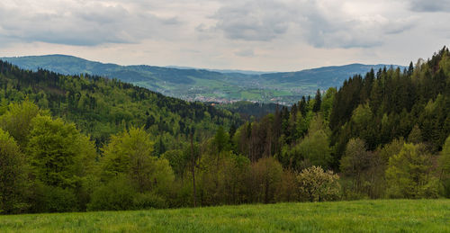 Scenic view of trees and mountains against sky