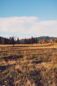 Scenic view of field against cloudy sky