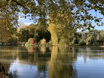 Scenic view of lake by trees against sky