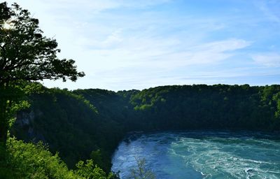 Scenic view of river amidst trees against sky