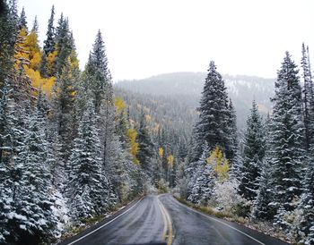 Road amidst trees against sky during winter