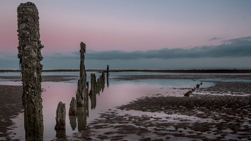 Wooden posts in sea against sky during sunset