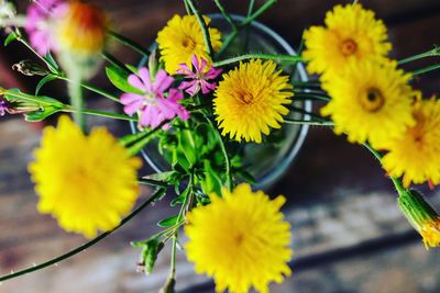 Close-up of yellow flowers blooming outdoors