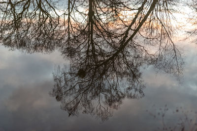 Bare tree against sky during winter