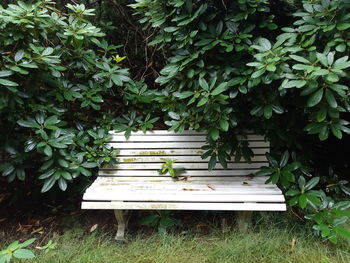 High angle view of bench in park