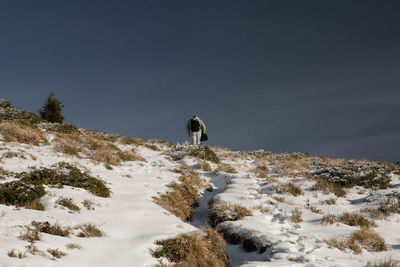 Low angle view of man walking on snow covered mountain