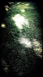 Full frame shot of water drops on glass