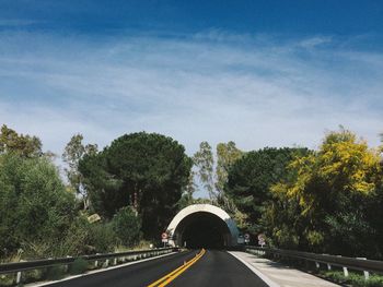 Road amidst trees against sky