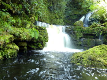 View of waterfall in forest