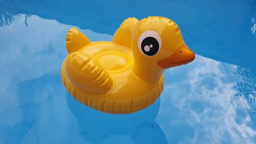 High angle view of yellow toy floating on swimming pool