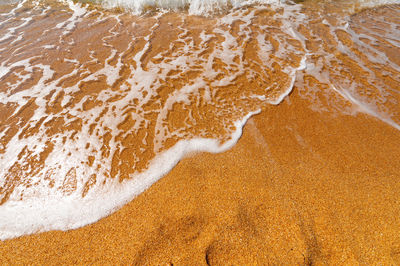 Soft sea wave on a sandy beach without people on a sunny day