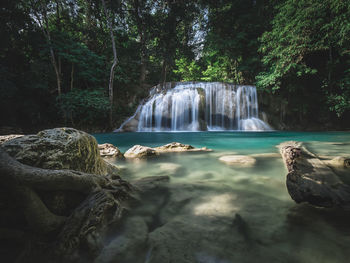 Scenic view of waterfall in forest