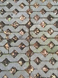 High angle view of leaves on footpath