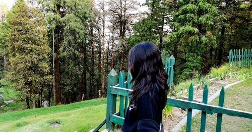 Rear view of woman standing by railing against trees